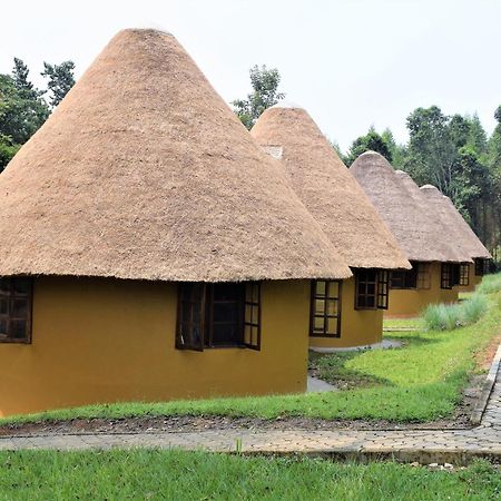 Kibale Guest Cottages フォート・ポータル エクステリア 写真