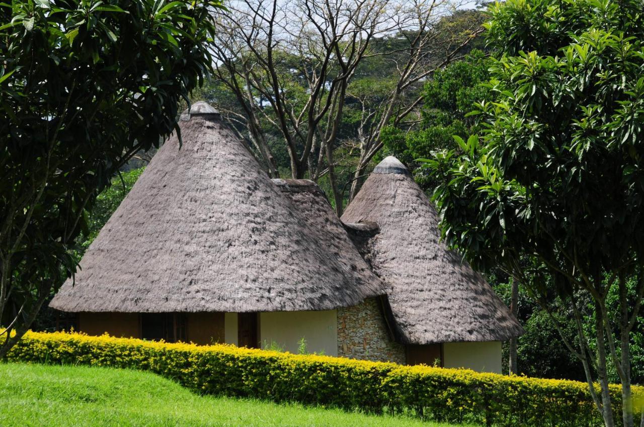 Kibale Guest Cottages フォート・ポータル エクステリア 写真